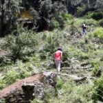 Profile picture of Yogya